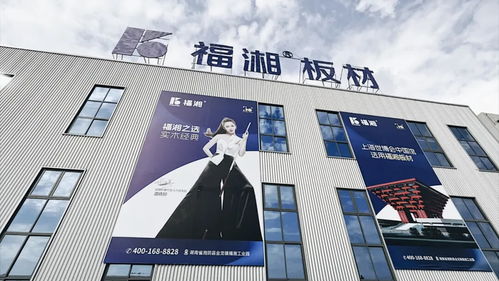 創(chuàng)新齊聚力 同心向未來丨福湘北方 臨沂 客戶服務(wù)中心成立暨新產(chǎn)品發(fā)布會圓滿成功